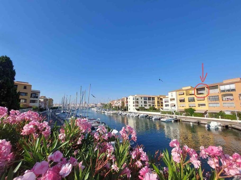 Cap'Nomad Studio Cote Mer - Balcon - Piscine - Parking 아그 외부 사진